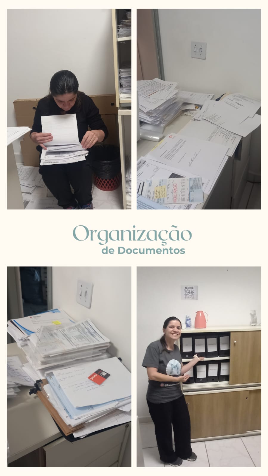 organização